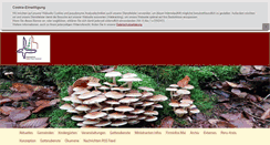 Desktop Screenshot of kath-elztal-limbach-fahrenbach.de
